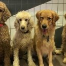 마리동물의료센터 이미지