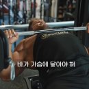 웨슬리 비셔스의 벤치프레스 가슴운동 노하우 이미지