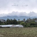 애월햇살 민박 이미지