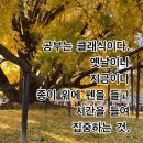 고산별빛초등학교 이미지