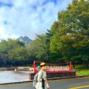 펜션비바체 | 영암] 월출산 등산코스 추천(구름다리-천황봉-바람폭포 코스), 월출산 근처 숙소 비바체펜션 방문 후기