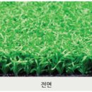 잔디당구장 이미지