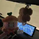 윤강병원 | 봄방학