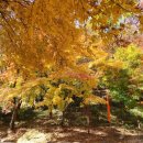 강천산군립공원(매표소) 이미지