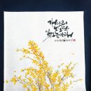 그리운이보영쓰다