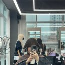 앨범헤어 춘천점