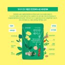 편안약국 네이버블로그