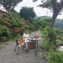 백수는 엄마 말을 잘 들어야 한다⎥자취 끝 드디어 <b>이사</b> ????, 운평 769, 옥순<b>다방</b> ☕️