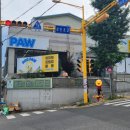 도그파우 이미지