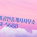 샤인공인중개사사무소 이미지