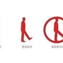 장모님 치킨 이미지