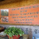 성읍민속마을오메기술 이미지