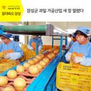 삼계농협농산물 유통센터 | 장성군 과일 가공산업 새 장 열렸다