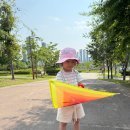 연기면_세종중앙공원(중앙)공터 | 세종 중앙공원 연날리기 후기 4살 아이와 도전했지만...! 준비부터와 실패까지 솔직 리뷰