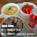 74 | 부산 해리단길 맛집 해운대 빨간떡볶이 웨이팅 후기 (내돈내산 솔직리뷰)