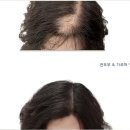 더샤인뷰티 이미지