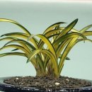 고려연수체육관 이미지