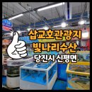 빛나리수산