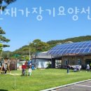 수애원 이미지