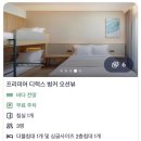 신라유치원 | 강릉 신라모노그램 호텔 숙박 강강추