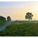 안선목장 이미지