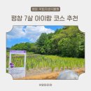 자생 | 평창 국립한국자생식물원 아이와 다녀온 솔직 후기