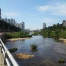 8/9(토) 수원산-청계산 라이딩.