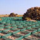 LEE 태양광발전소 이미지