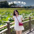 레드스퀘어 | 스퀘어라인 Sylph 실프 내돈내산 레드 미니백 빨간가방 추천 후기