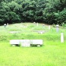 류사눌묘 이미지