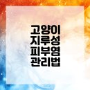 하나사랑동물병원 네이버블로그
