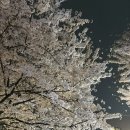 청기와타운 (마포점) | 콜키지프리 고깃집 <청기와타운> 마포점 후기 - 예약, 주차, 메뉴 추천