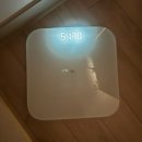 으라차차멍 | 안양안산 복부 지방흡입 람스 2달차 노보정 후기