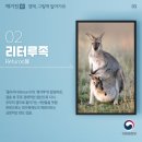 부모교육상담사2급 이미지