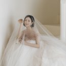 셀레브헤어 이미지