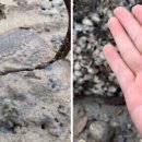 해를담은펜션 이미지