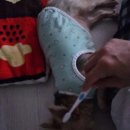 딩글딩글고양이 이미지