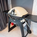 여수 도그펄슨 애견수영장펜션 이미지