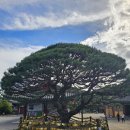 보경사 | 포항 드라이브 가볼만한 곳 - 내연산 보경사 입장료, 주차장, 맛집 추천, 후기