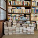 퍼펙트독 이미지