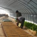 제내농장 이미지