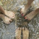 미사리촌집 이미지