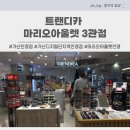 트랜디카안경마리오