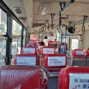 세운버스 이미지