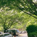 사랑방노래연습장 이미지