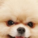 투게더 동물병원 이미지