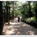 다대1동-27 이미지