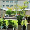 사직뉴욕치과의원 이미지