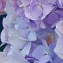 이룸여성의원 이미지