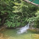 옥녀탕유원지 이미지